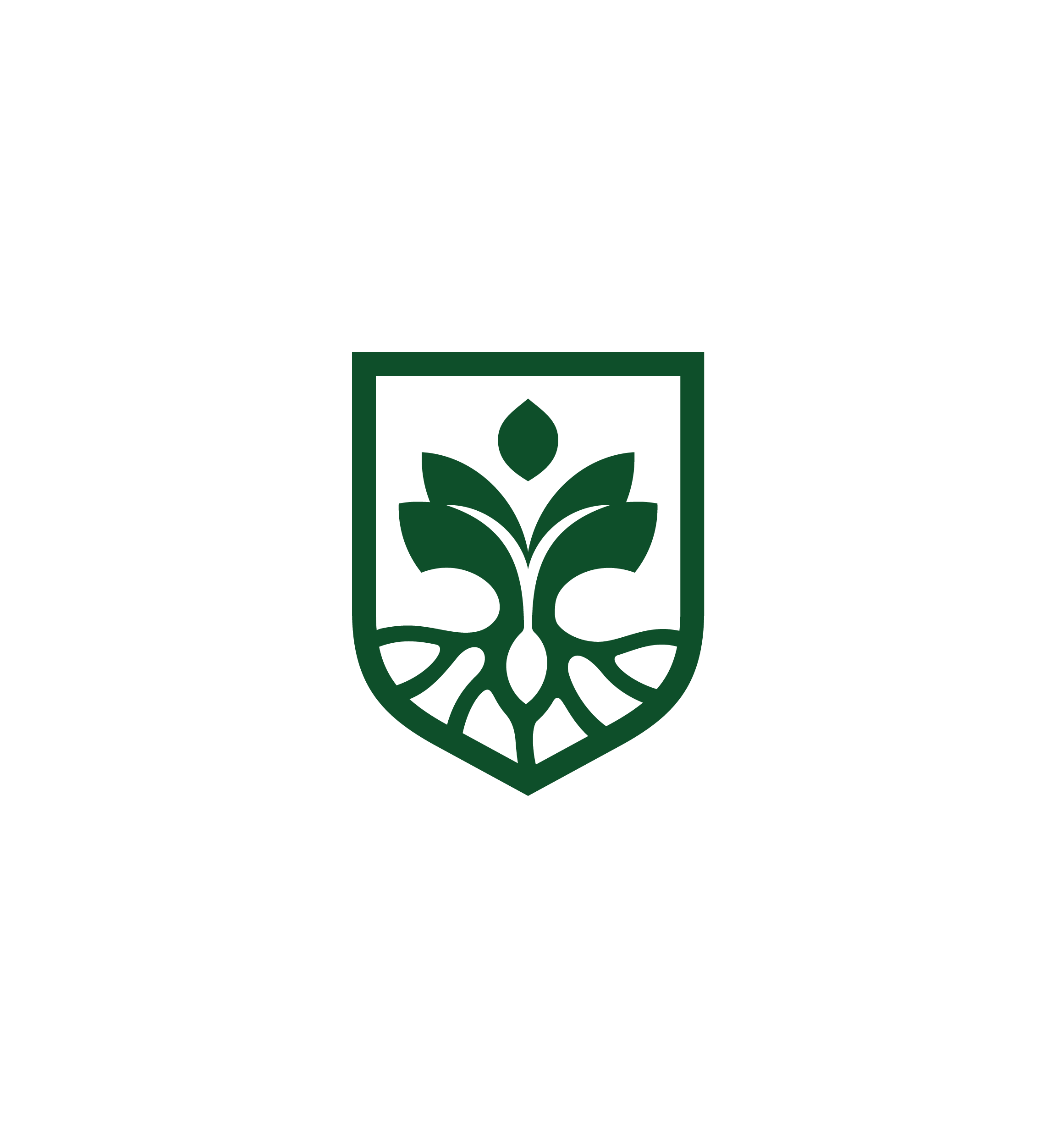 Zera Edu emblem, color