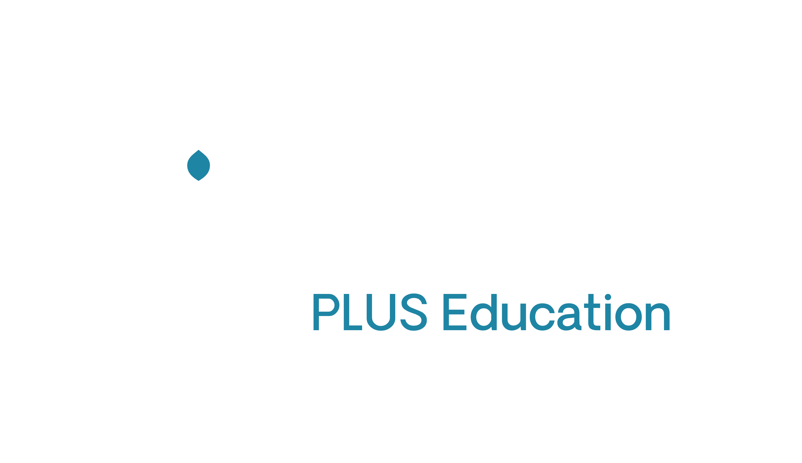 Plus Logo DkBG
