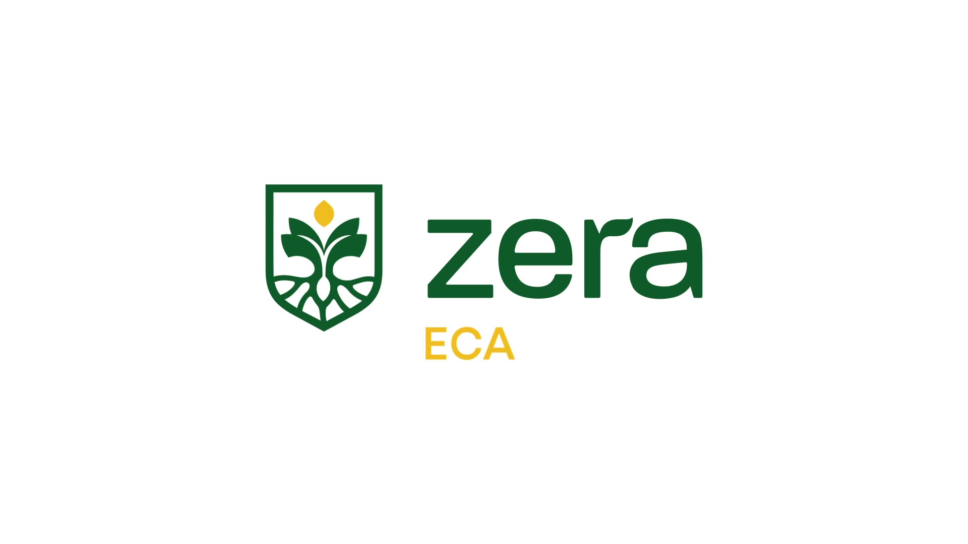 Zera ECA logo animation
